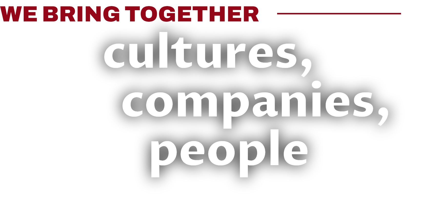 We bring together cultures, companies, people